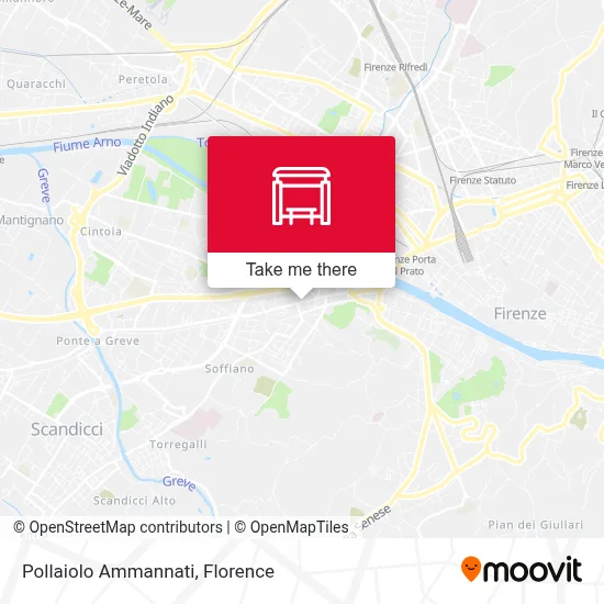 Pollaiolo Ammannati map