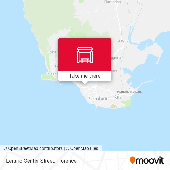 Lerario Center Street map