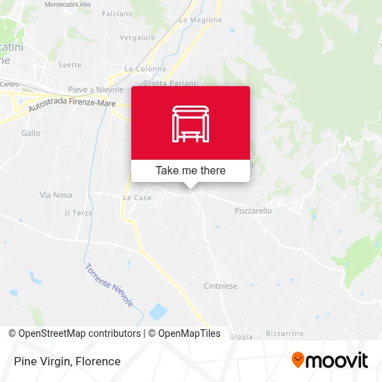 Pine Virgin map