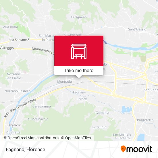 Fagnano map