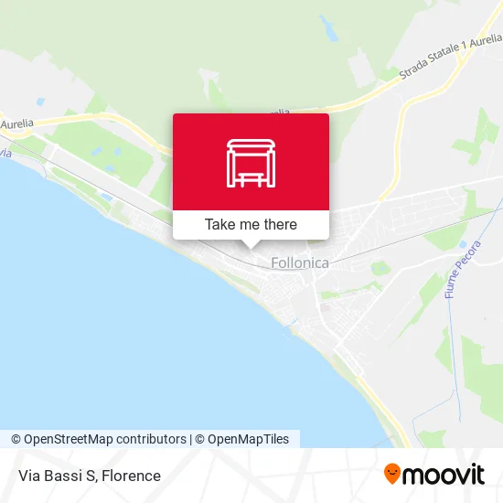 Via Bassi S map