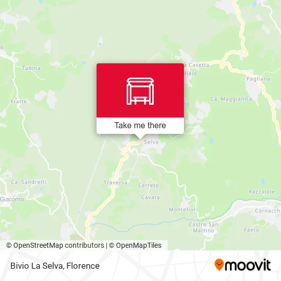 Bivio La Selva map