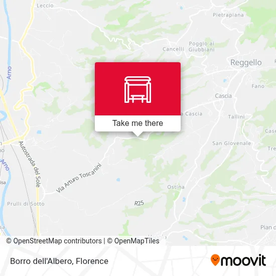Borro dell'Albero map