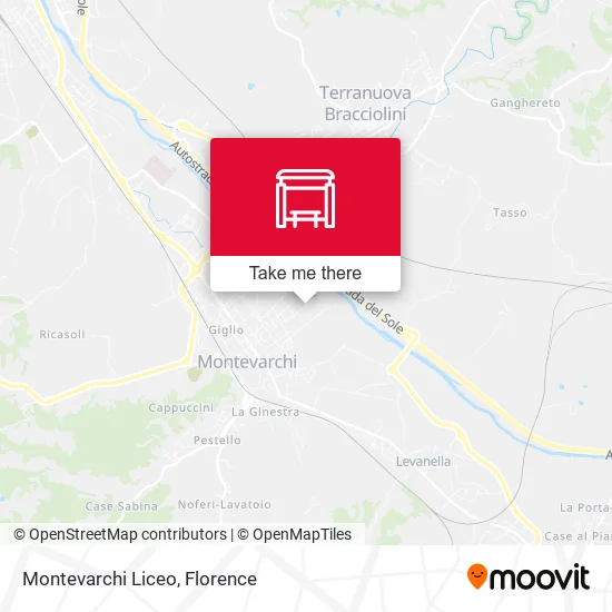 Montevarchi Liceo map