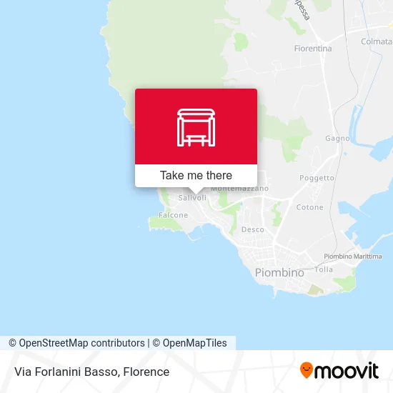Via Forlanini Basso map