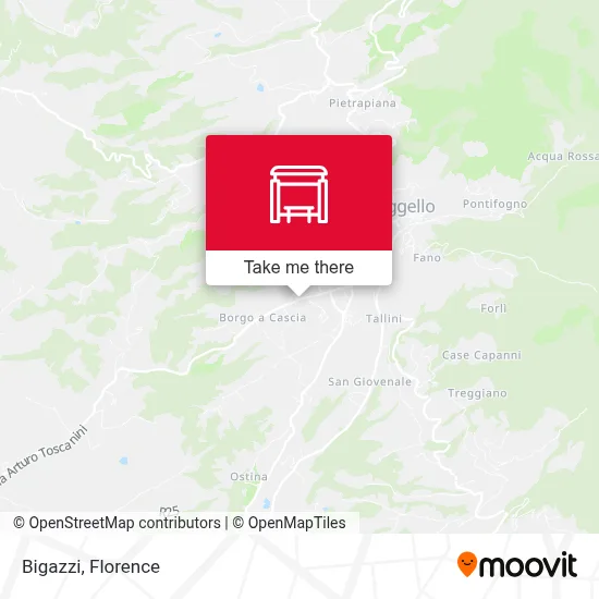 Bigazzi map