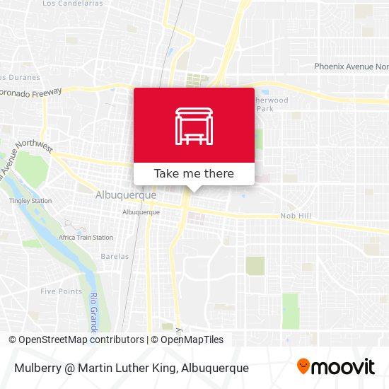 Mulberry @ Martin Luther King map