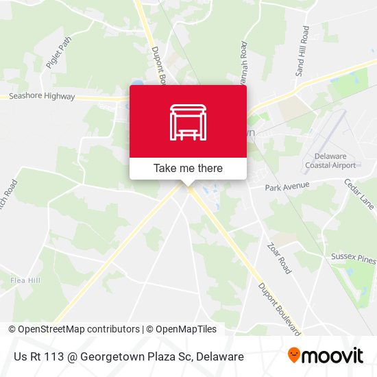 Us Rt 113 @ Georgetown Plaza Sc map