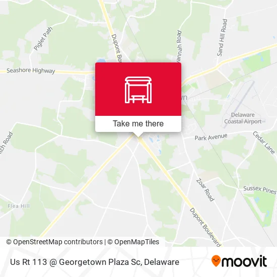 Mapa de Us Rt 113 @ Georgetown Plaza Sc