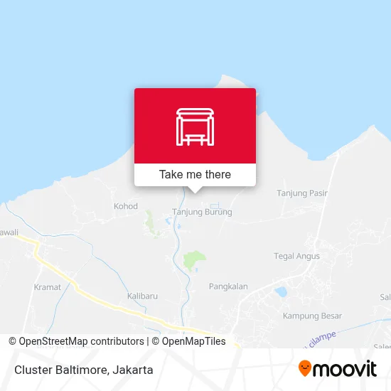 Cluster Baltimore map