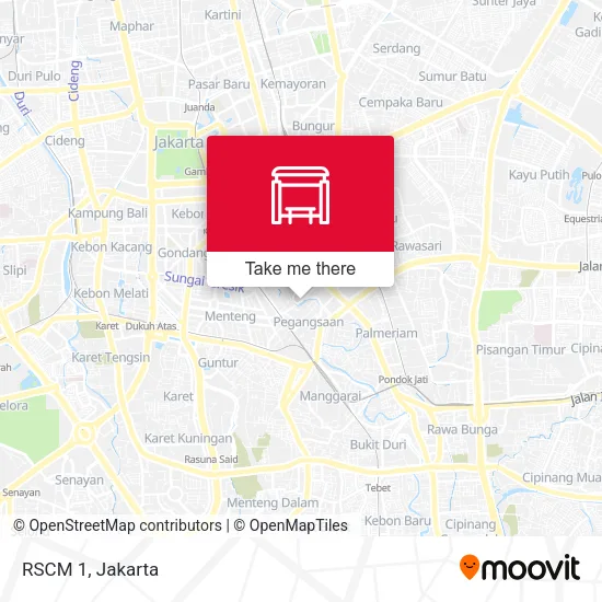 RSCM 1 map