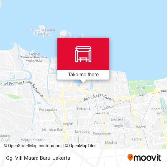 Gg. VIII Muara Baru map