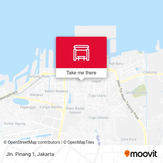Jln. Pinang 1 map