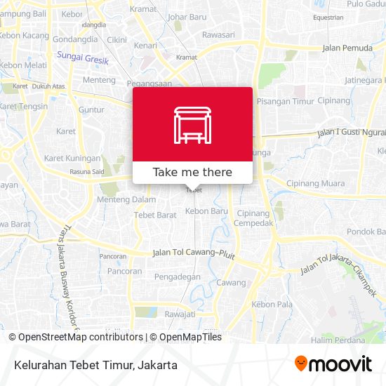 Kelurahan Tebet Timur map