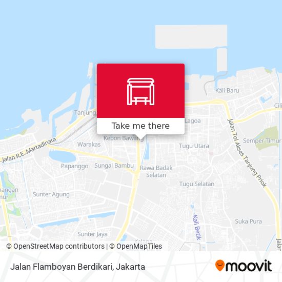 Jalan Flamboyan Berdikari map