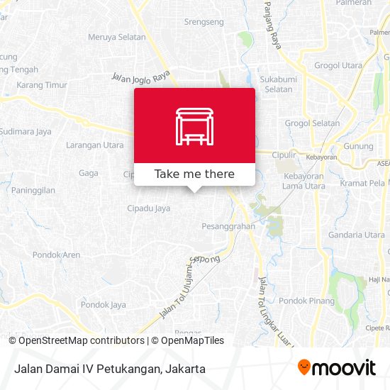 Jalan Damai IV Petukangan map