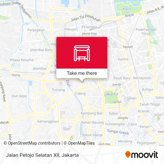 Jalan Petojo Selatan XII map