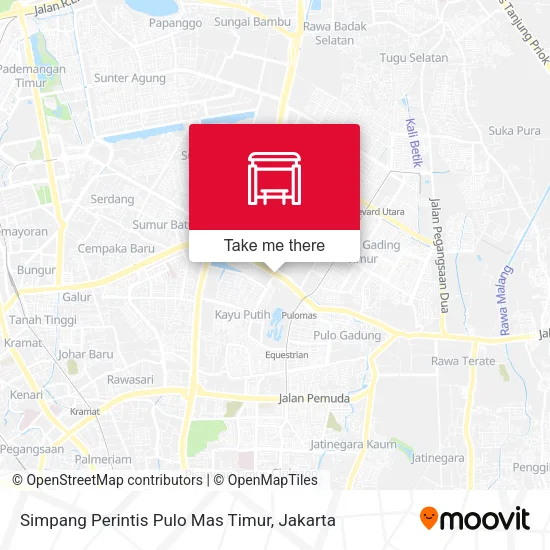 Simpang Perintis Pulo Mas Timur map