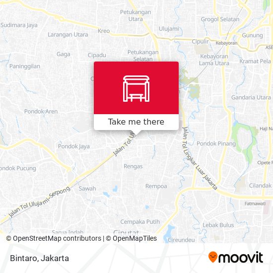 Bintaro map