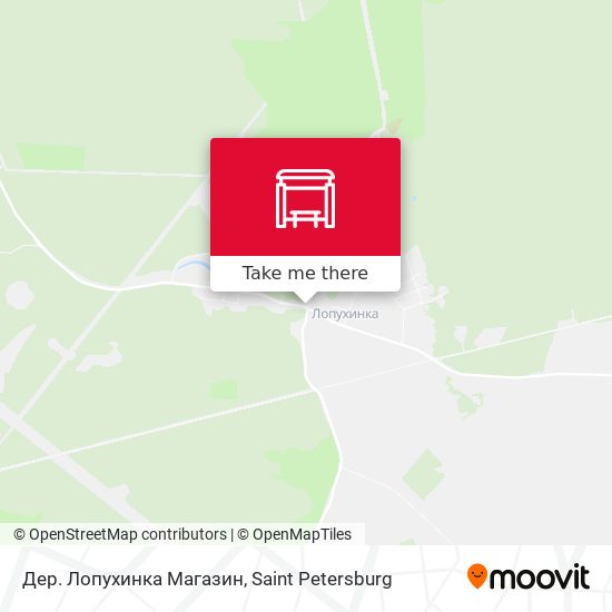 Дер. Лопухинка Магазин map