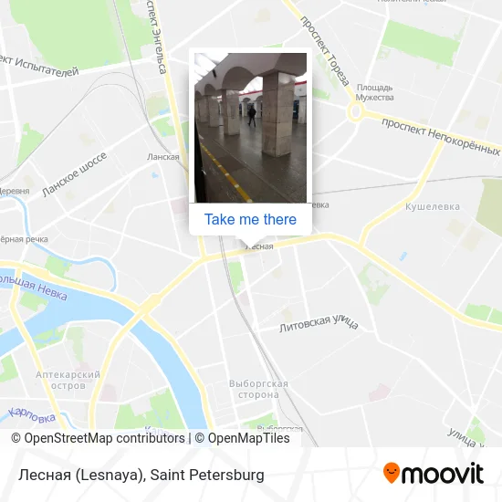 Лесная (Lesnaya) map