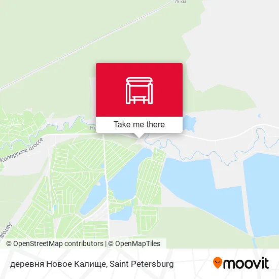 деревня Новое Калище map