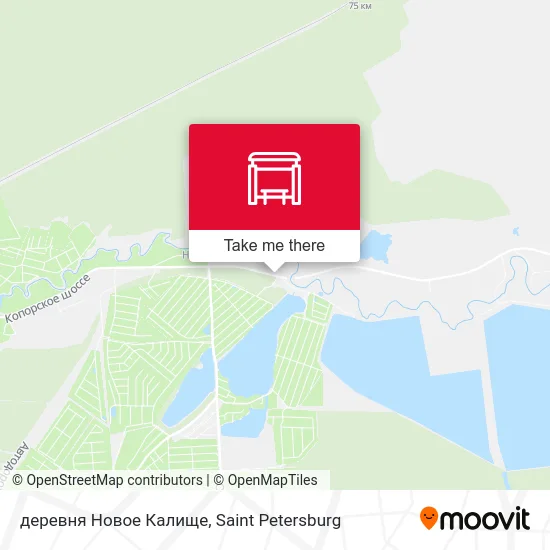 деревня Новое Калище map