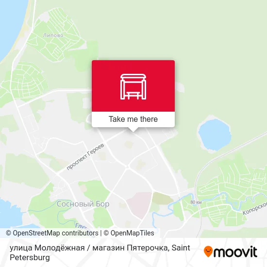 улица Молодёжная / магазин Пятерочка map