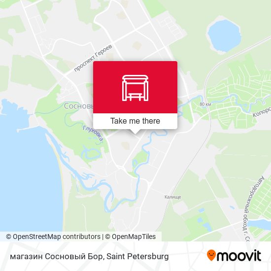 магазин Сосновый Бор map