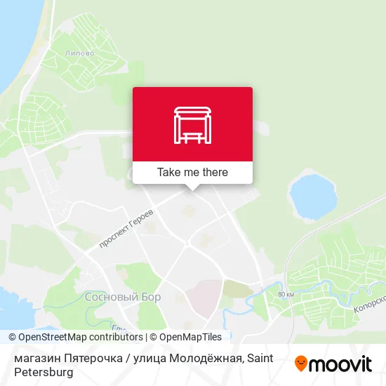 магазин Пятерочка / улица Молодёжная map