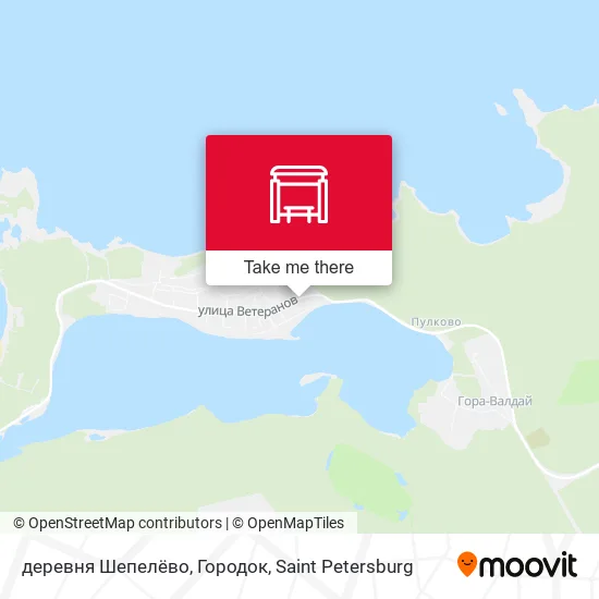 деревня Шепелёво, Городок map