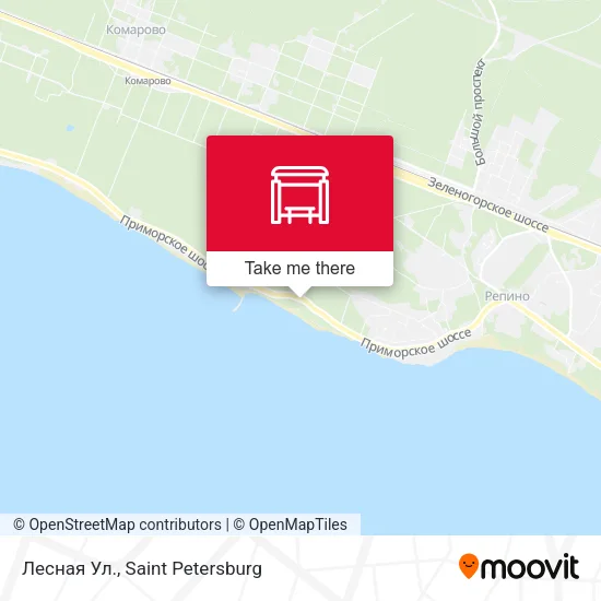 Лесная Ул. map