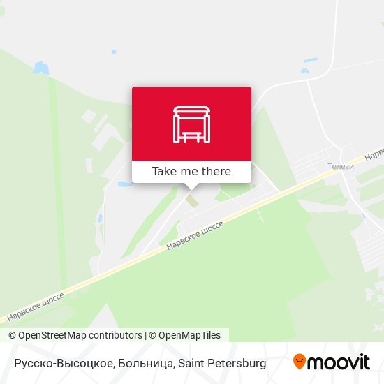 Русско-Высоцкое, Больница map