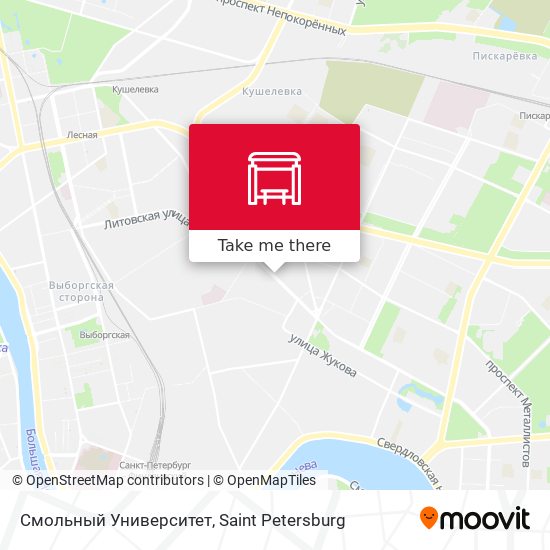 Смольный Университет map