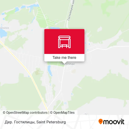 Дер. Гостилицы map