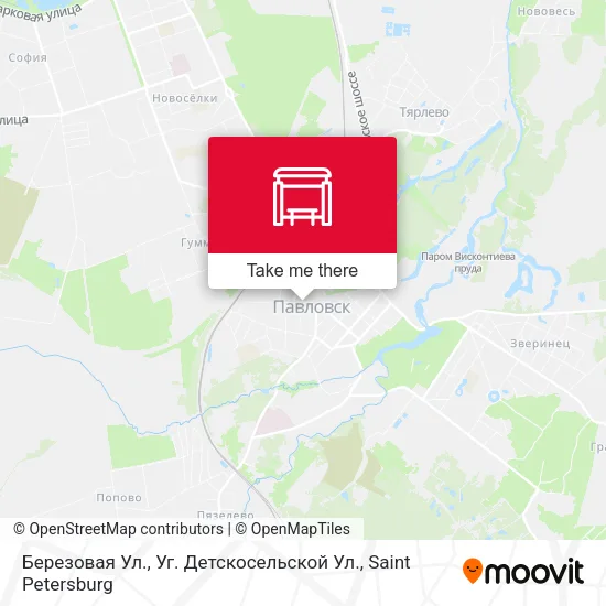 Березовая Ул., Уг. Детскосельской Ул. map