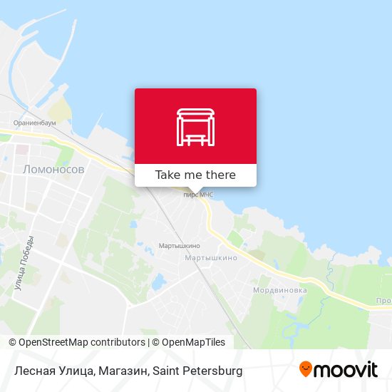 Лесная Улица, Магазин map