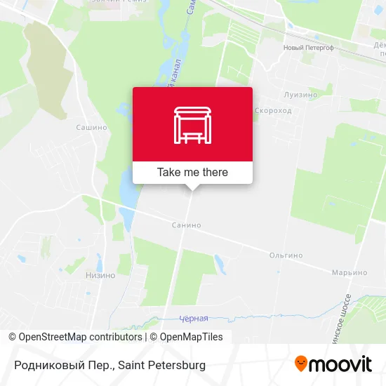 Родниковый Пер. map