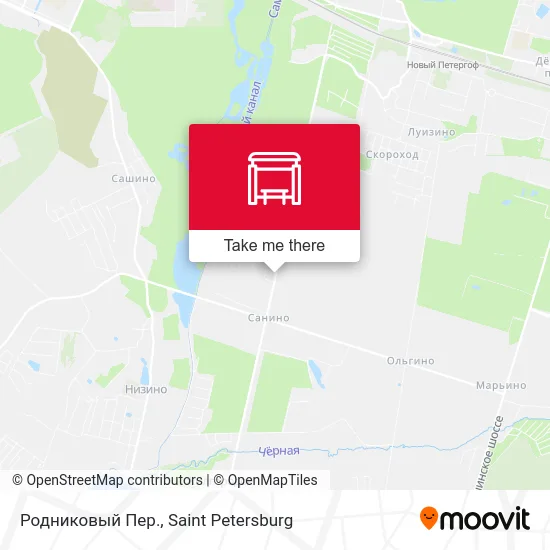 Родниковый Пер. map