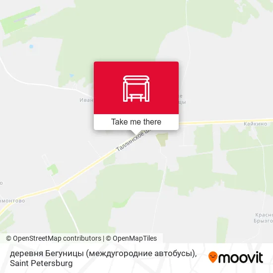 деревня Бегуницы (междугородние автобусы) map