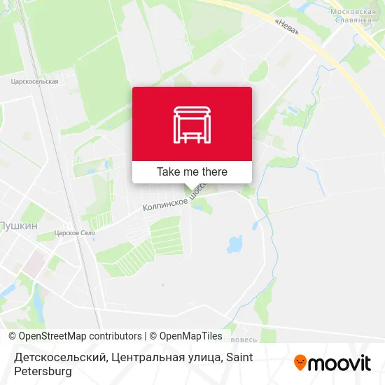 Детскосельский, Центральная улица map