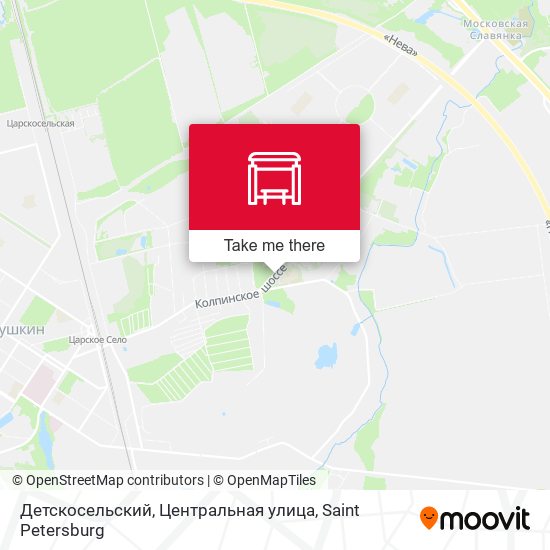 Детскосельский, Центральная улица map
