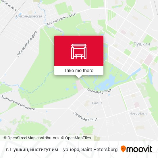 г. Пушкин, институт им. Турнера map