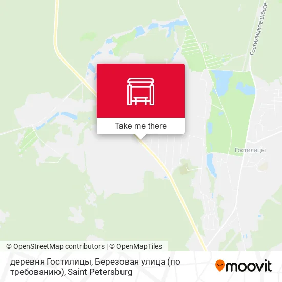 деревня Гостилицы, Березовая улица (по требованию) map