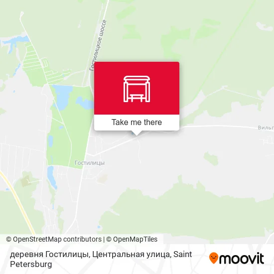 деревня Гостилицы, Центральная улица map