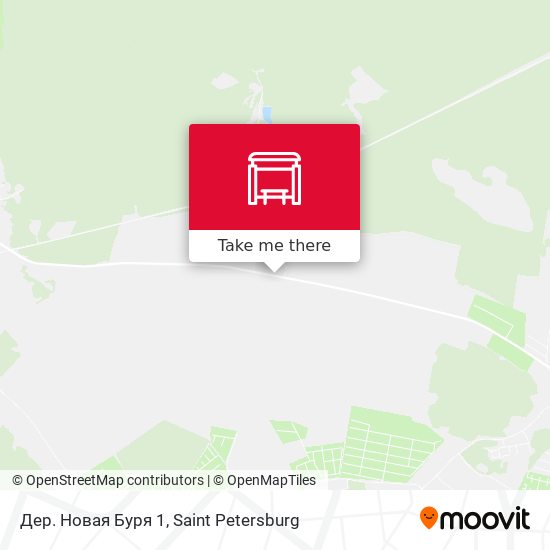 Дер. Новая Буря 1 map