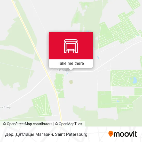 Дер. Дятлицы Магазин map