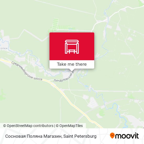Сосновая Поляна Магазин map