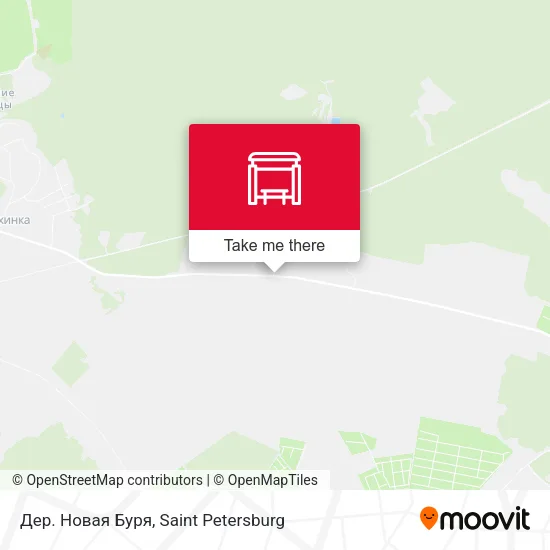 Дер. Новая Буря map