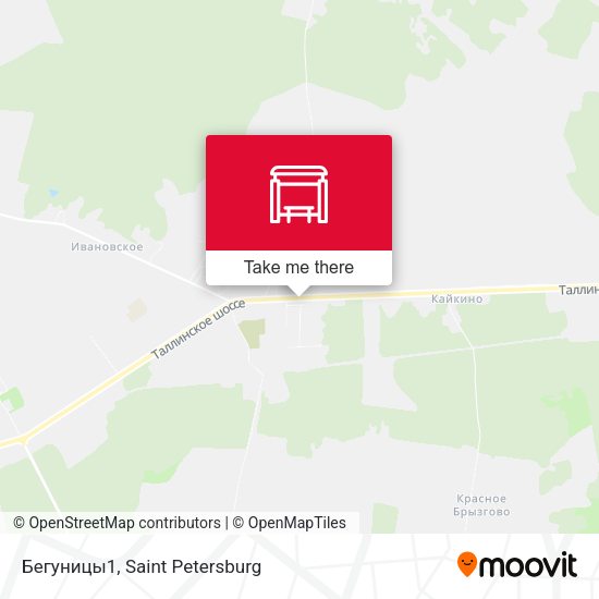 Бегуницы1 map